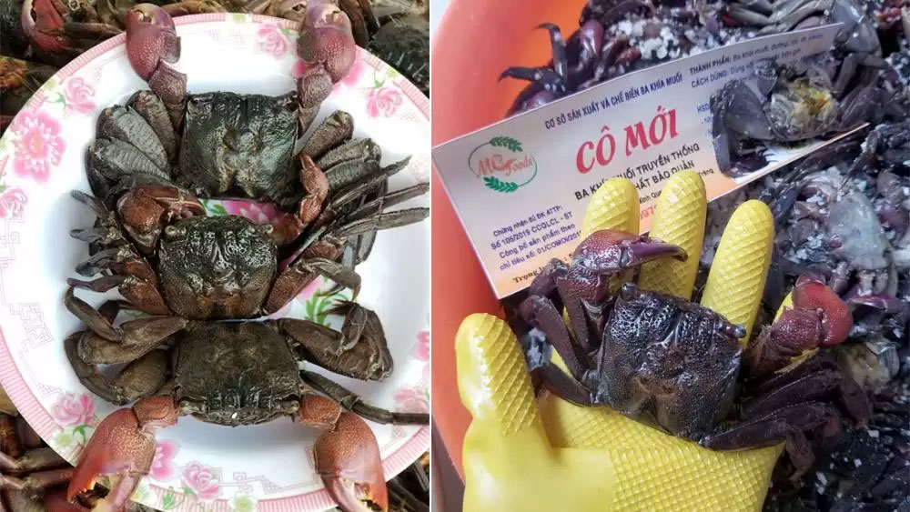 Ba khía muối Cô Mới 2